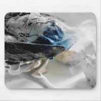 Fumante Sage Fumante Esotérico metafísico