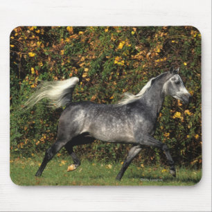 Mousepad Funcionamento dos árabes: Outono