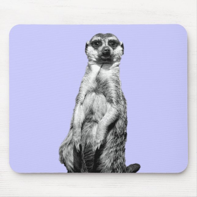 Mousepad Fundo da pervinca de Meerkat (Frente)