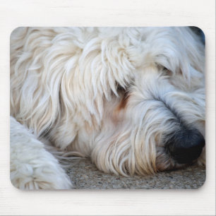 Mousepad Fundo de Goldendoodle