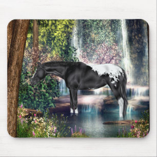 Mousepad Fundo preto da cachoeira do cavalo do Appaloosa