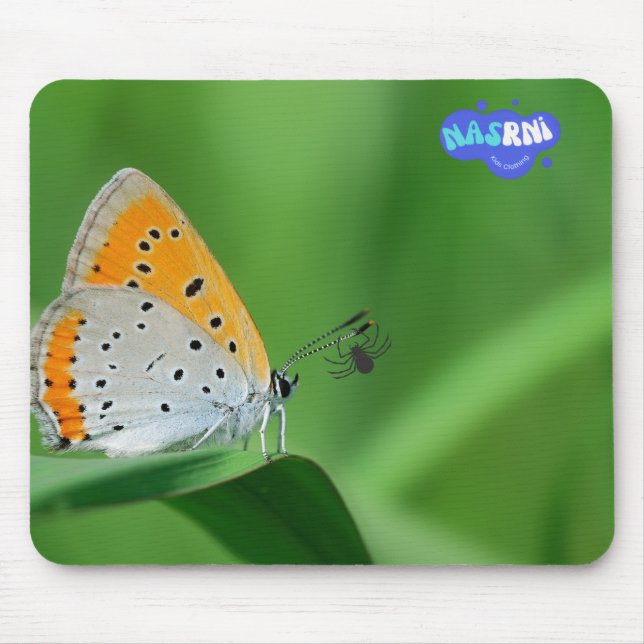 Mousepad Fundo verde e borboleta amarela e branca e aranha (Frente)