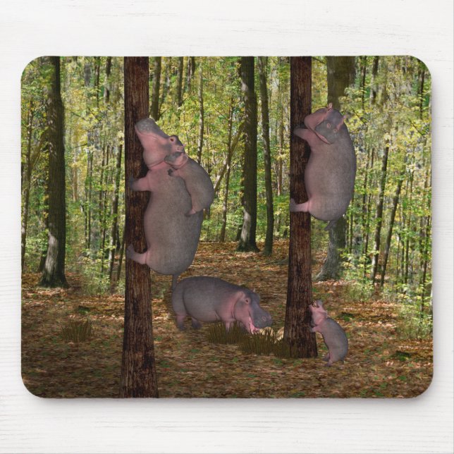 Mousepad Funny Koala-Wannabe Hippos (Frente)