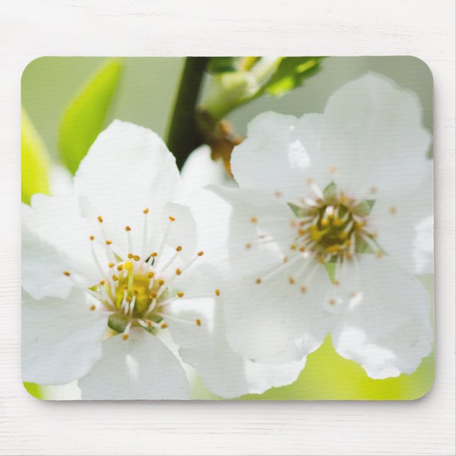 Mousepad Fusão em Springtime (Frente)