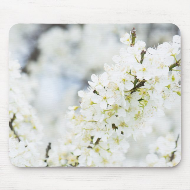 Mousepad Fusão em Springtime (Frente)