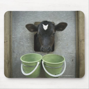 Mousepad Gado, caneta individual