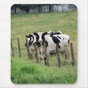 Mousepad Gado de leiteria