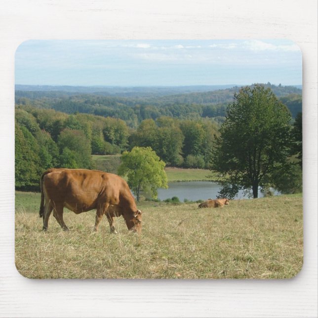 Mousepad Gado de Limousin no Creuse (Frente)