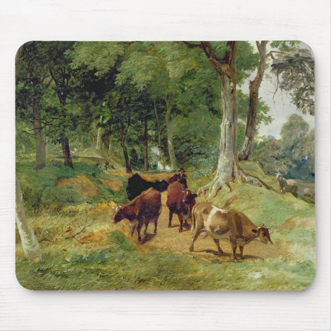 Mousepad Gado em uma pista de Devonshire (Frente)