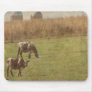 Mousepad gado leiteiro em pastagem