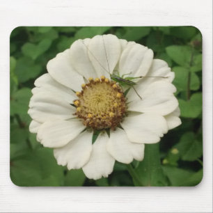Mousepad Gafanhoto minúsculo na flor branca