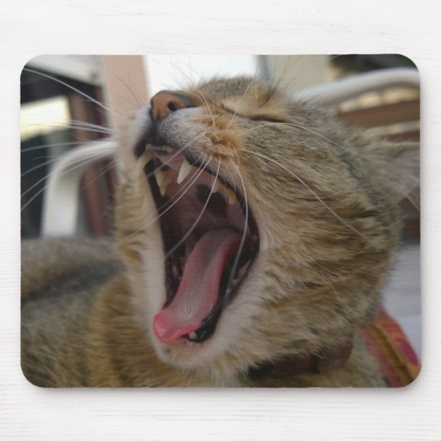 Mousepad Gaiado (Frente)