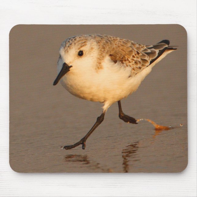 Mousepad Gaiteiro da areia (Frente)