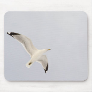 Mousepad Gaivota