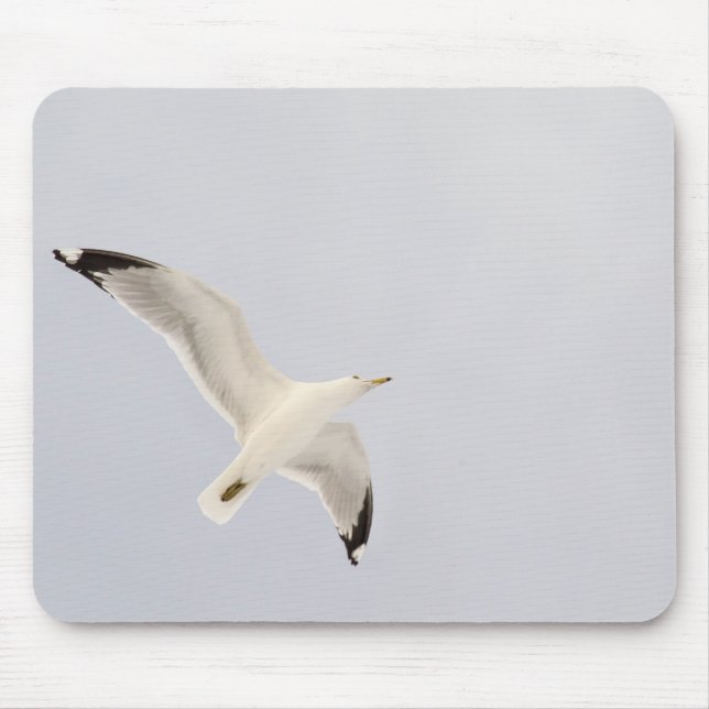 Mousepad Gaivota (Frente)