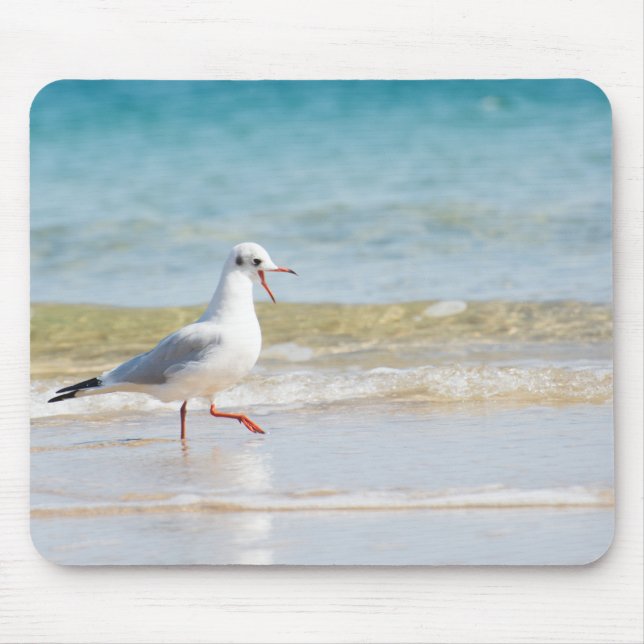 Mousepad Gaivota (Frente)