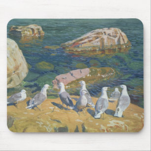 Mousepad Gaivota, 1910