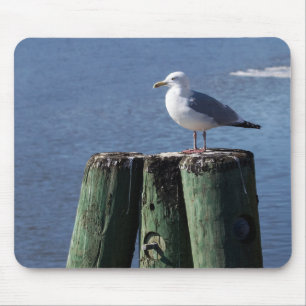 Mousepad Gaivota em Pilotos