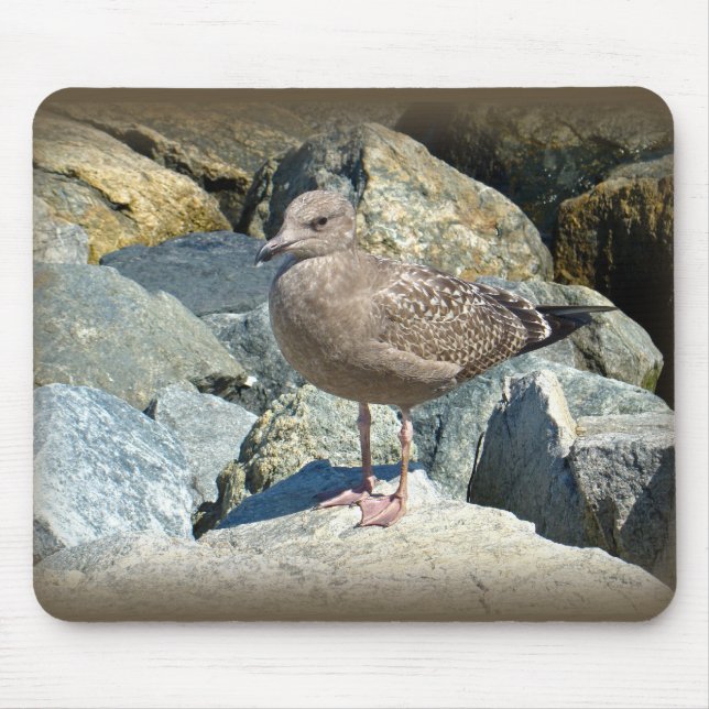 Mousepad Gaivota Excelente Juvenil Black-Backing (Frente)