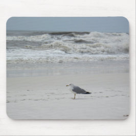 Mousepad Gaivota na praia