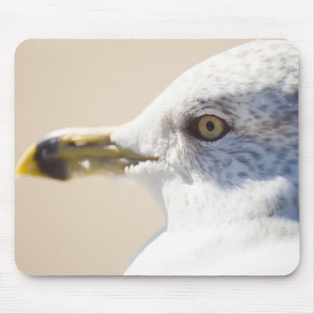 Mousepad Gaivota nova (Frente)