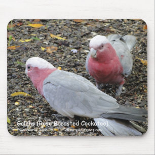 Mousepad Galahs (Cockatoo cor-de-rosa de Breasted)