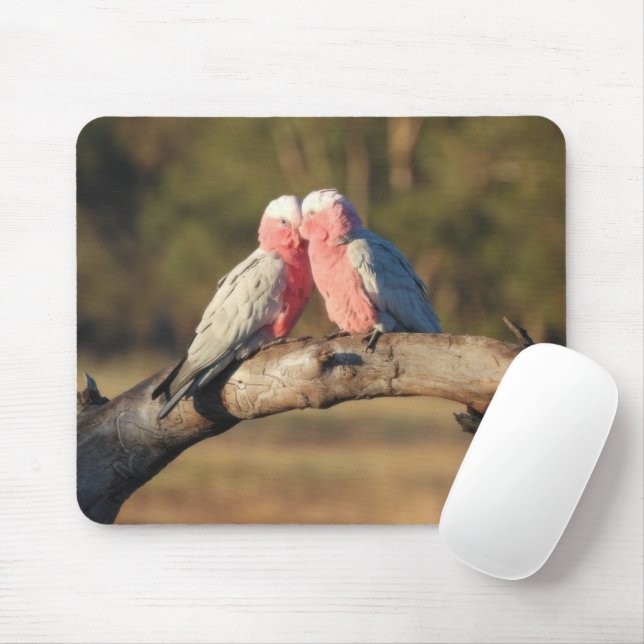 Mousepad Galahs Rosa (Com mouse)