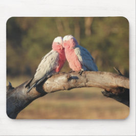 Mousepad Galahs Rosa