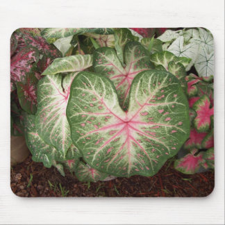 Mousepad Galáxia do Caladium