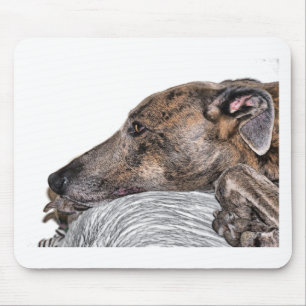 Mousepad galgo