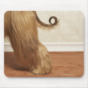 Mousepad Galgo afegão que está na sala, seção da
