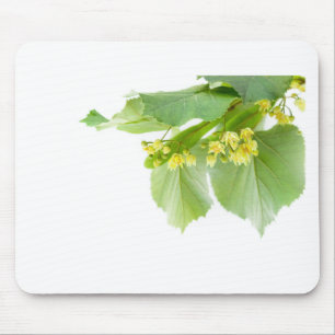 Mousepad Galho de florescência da árvore do limetree ou d
