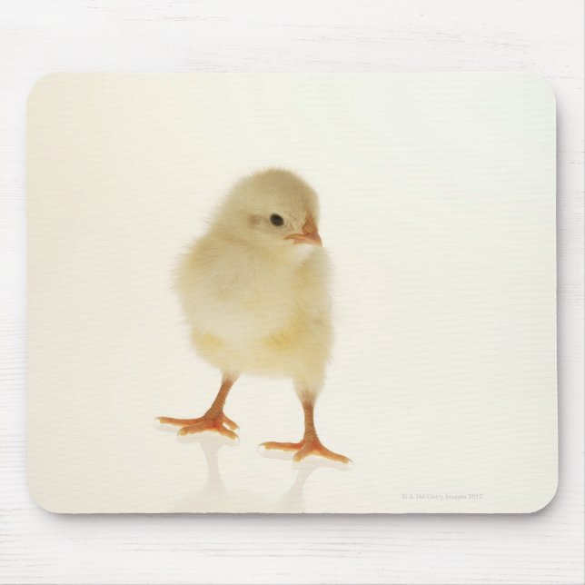 Mousepad Galinha (Frente)