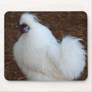 Mousepad Galinha branca de Silkie
