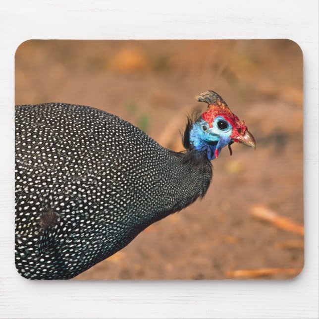 Mousepad Galinha-d'angola (Numida meleagris). África, (Frente)