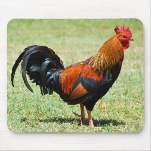Mousepad Galinha-do-mar-vermelho-do-campo-do-campo Kauai Ha
