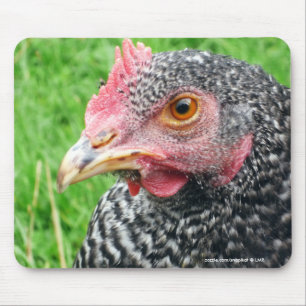 Mousepad Galinha escocesa da galinha cinzenta - aves