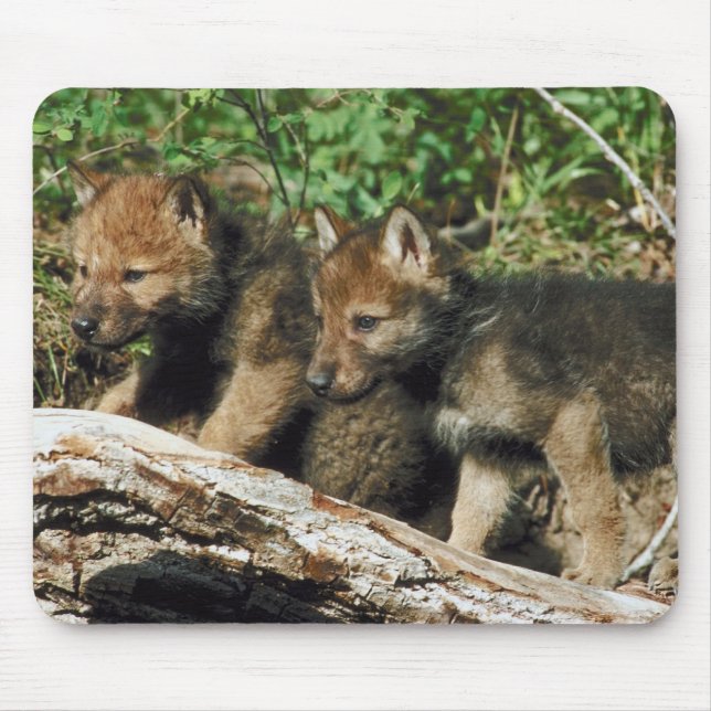 Mousepad Galinhas de lobo-da-madeira (Frente)