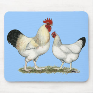 Mousepad Galinhas do Rio Índio