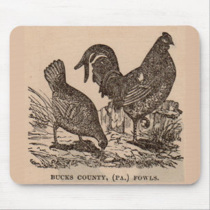 Mousepad Galinhas do século XIX das galinha de Bucks Count