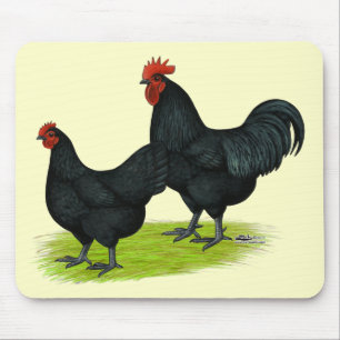 Mousepad Galinhas pretas de Australorp