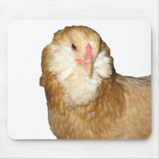 Mousepad Galinhas Wheaten raras bonitas das galinhas de