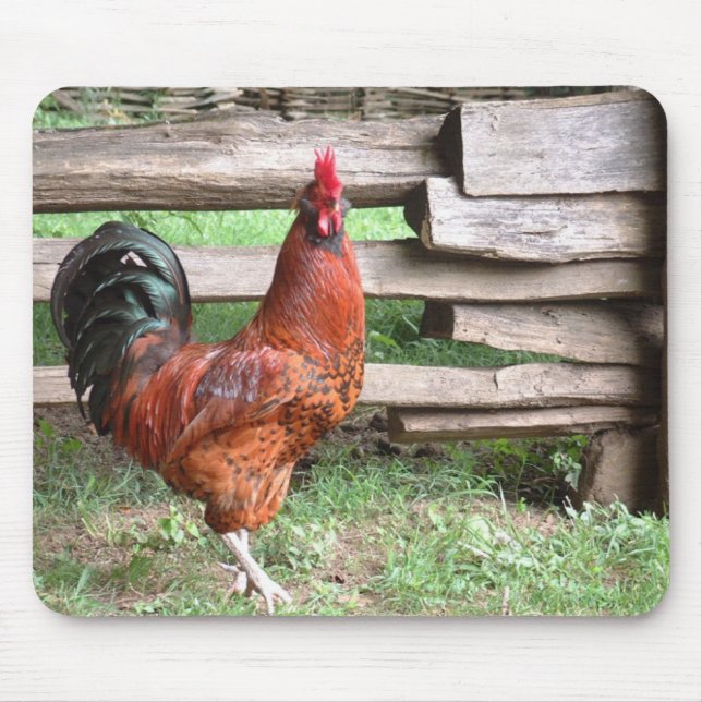 MOUSEPAD GALO (Frente)