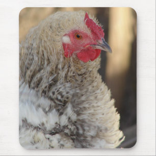 Mousepad Galo de Frascos