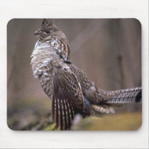 Mousepad Galo silvestre de Ruffed
