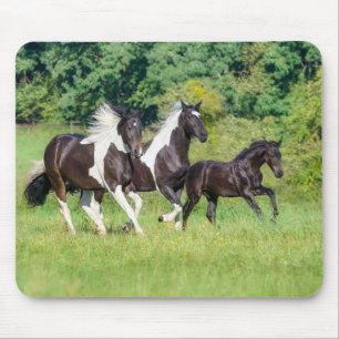 Mousepad Galopagem de Galinhas-Pinto com Galopagem de Folha