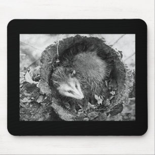 Mousepad Gambá