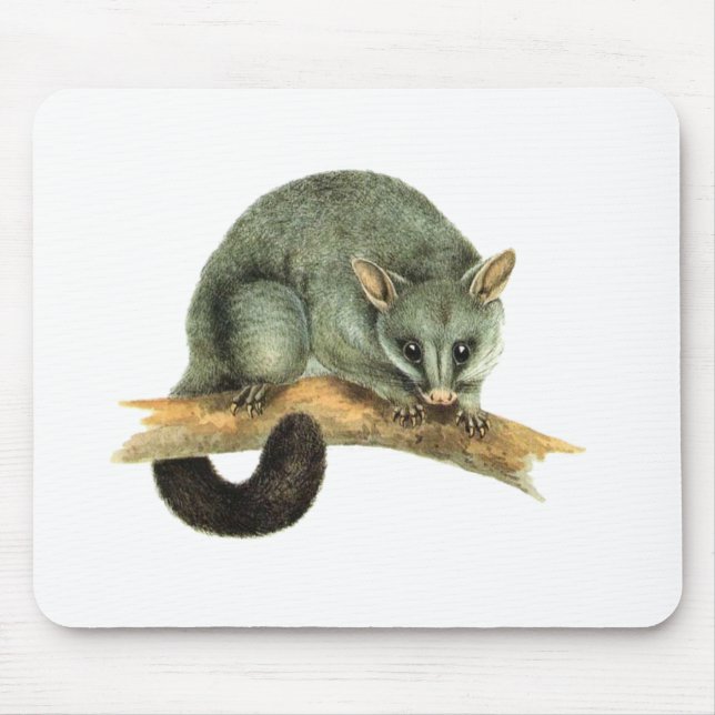 Mousepad - gambá (Frente)