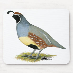 Mousepad Gambel's Desert Quail