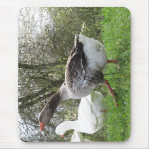 Mousepad Gänse auf einer Wiese